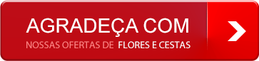 Flores para expressar agradecimento