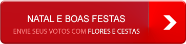 Flores e cestas para as festas de Natal e Ano Novo