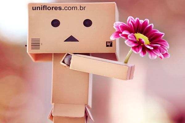 Entrega de Flores Grátis para Todo o Brasil Entrega de Flores Gŕatis para Todo o Brasil