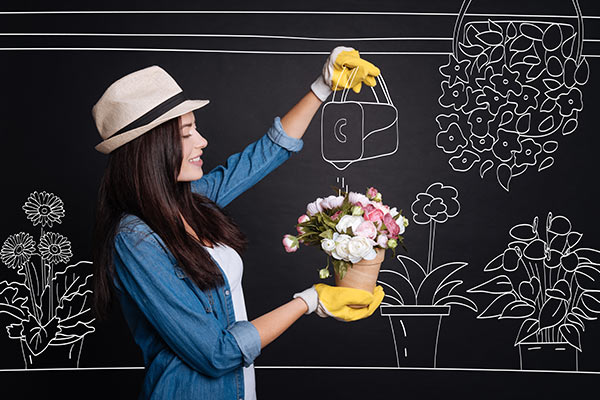 Flores, Cestas e Presentes para todas as Ocasiões Flores, Cestas e Presentes para todas as Ocasiões