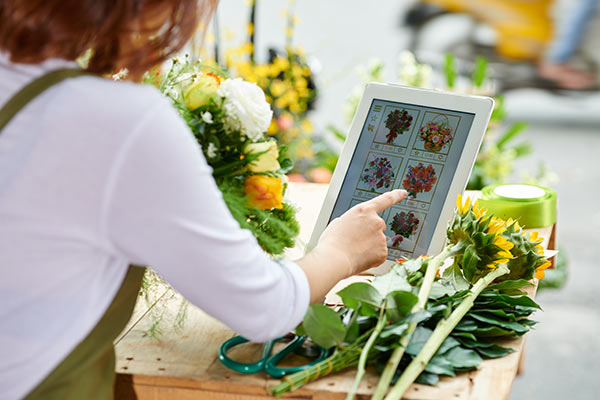Compras Seguras de Flores na Unicestas Compras Seguras de Flores na Unicestas